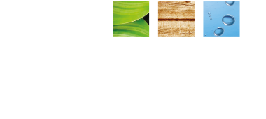 logo spironello