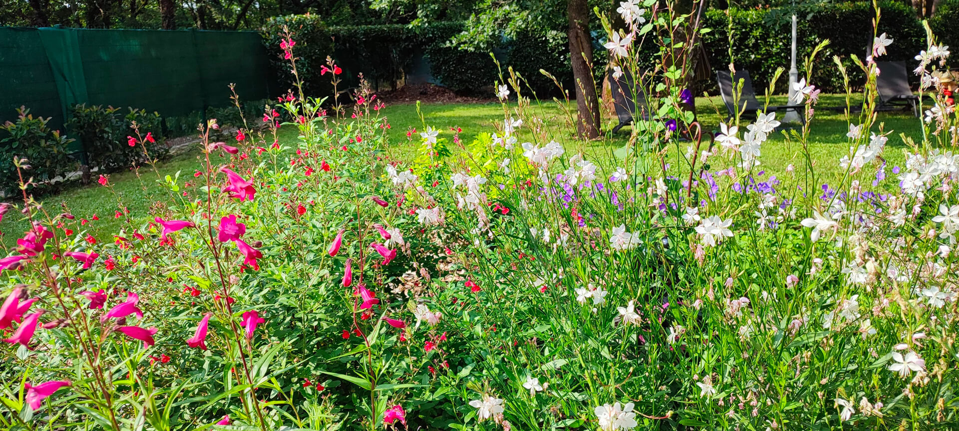 Amenagement de jardin a Campsas