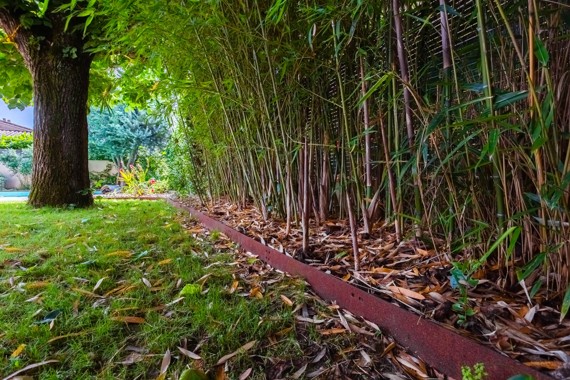 Conception et amenagement dun jardin a Toulouse 1