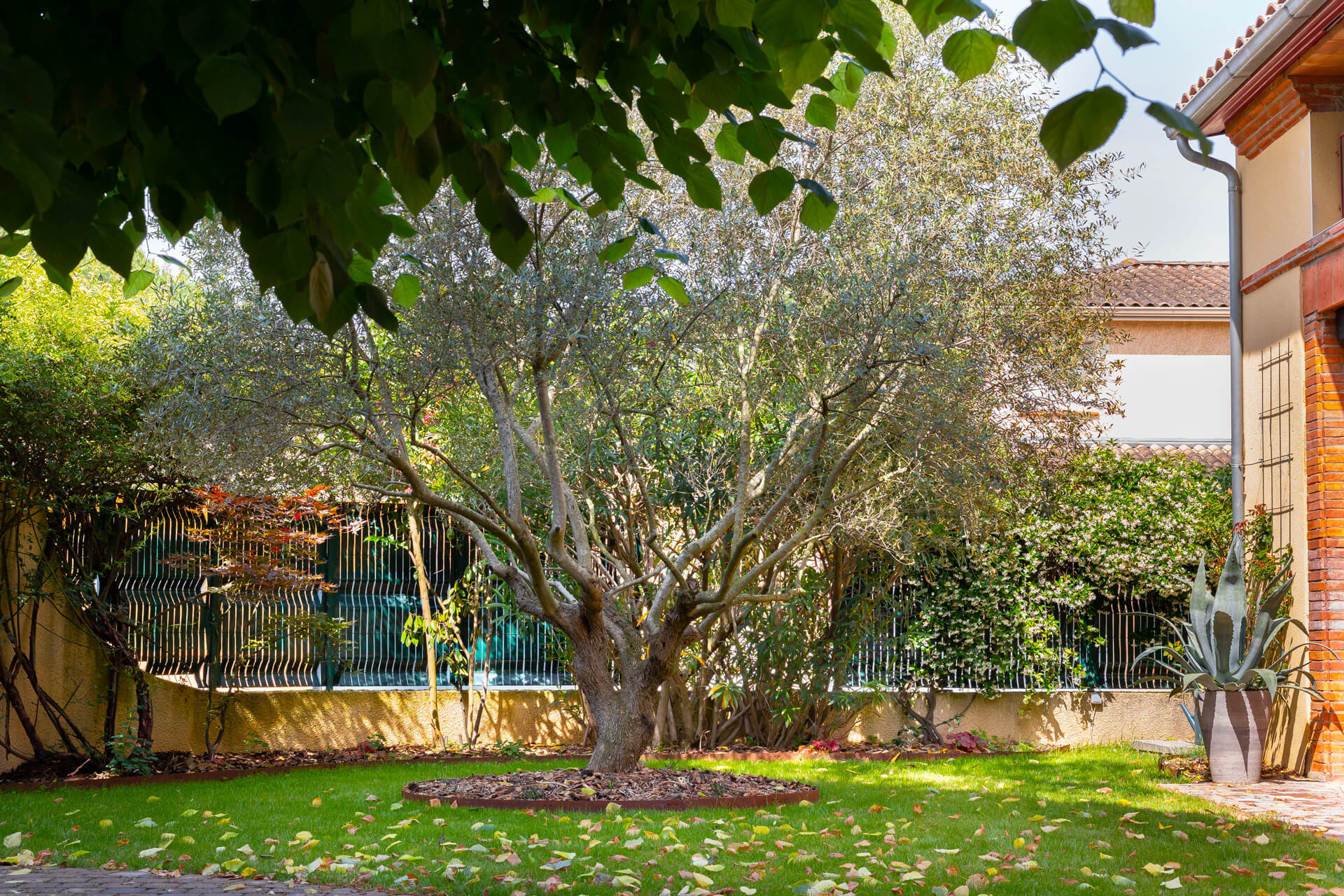 Conception et amenagement dun jardin a Toulouse 11