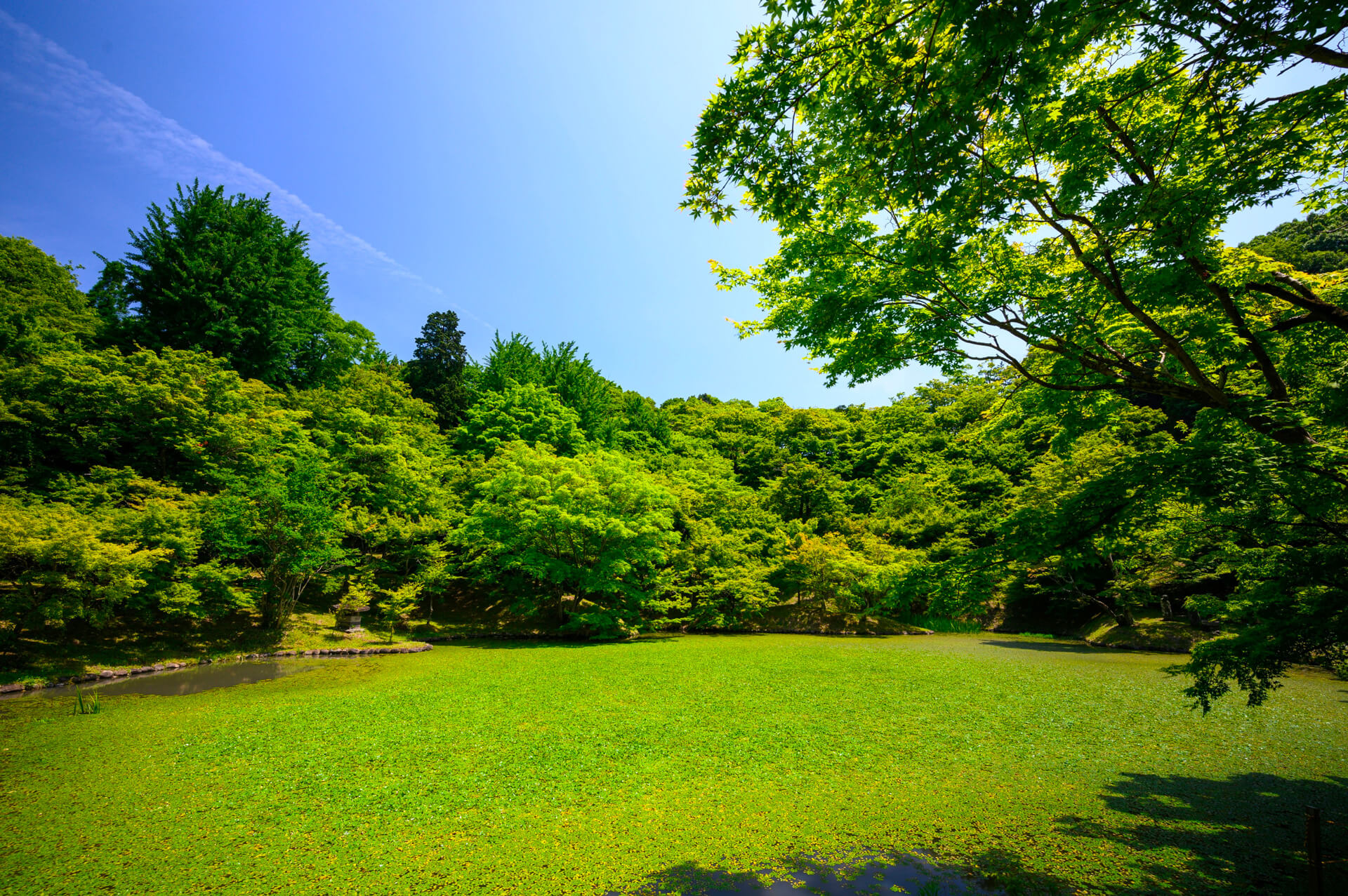 Credit dimpot entretien de jardins particuliers a Campsas 1 scaled