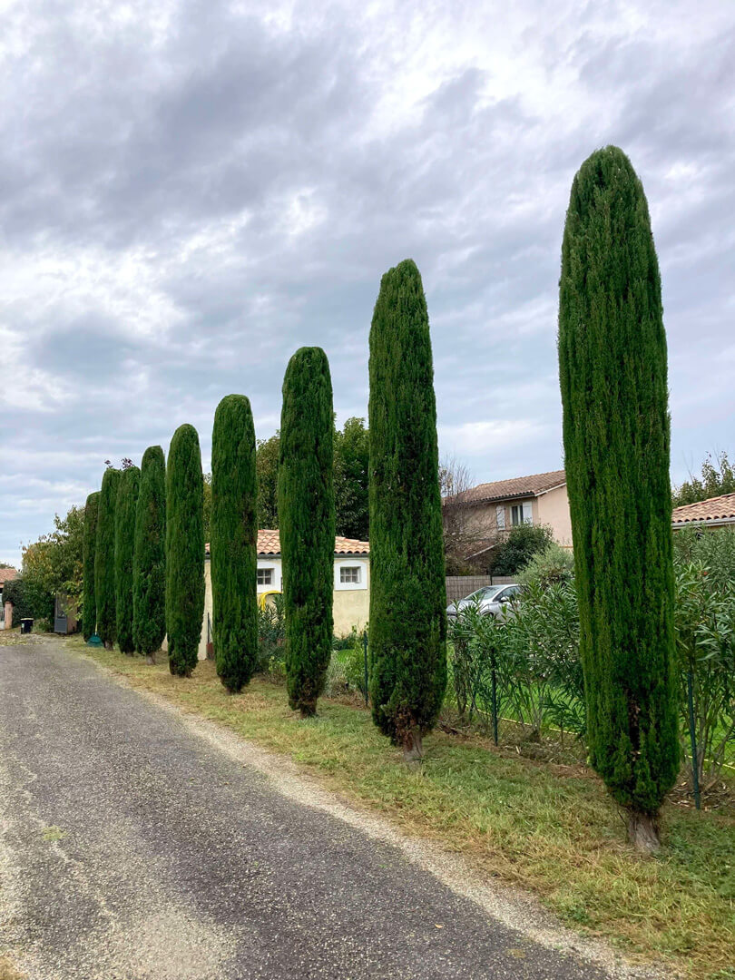 Paysagiste pour entretien de jardin a Campsas