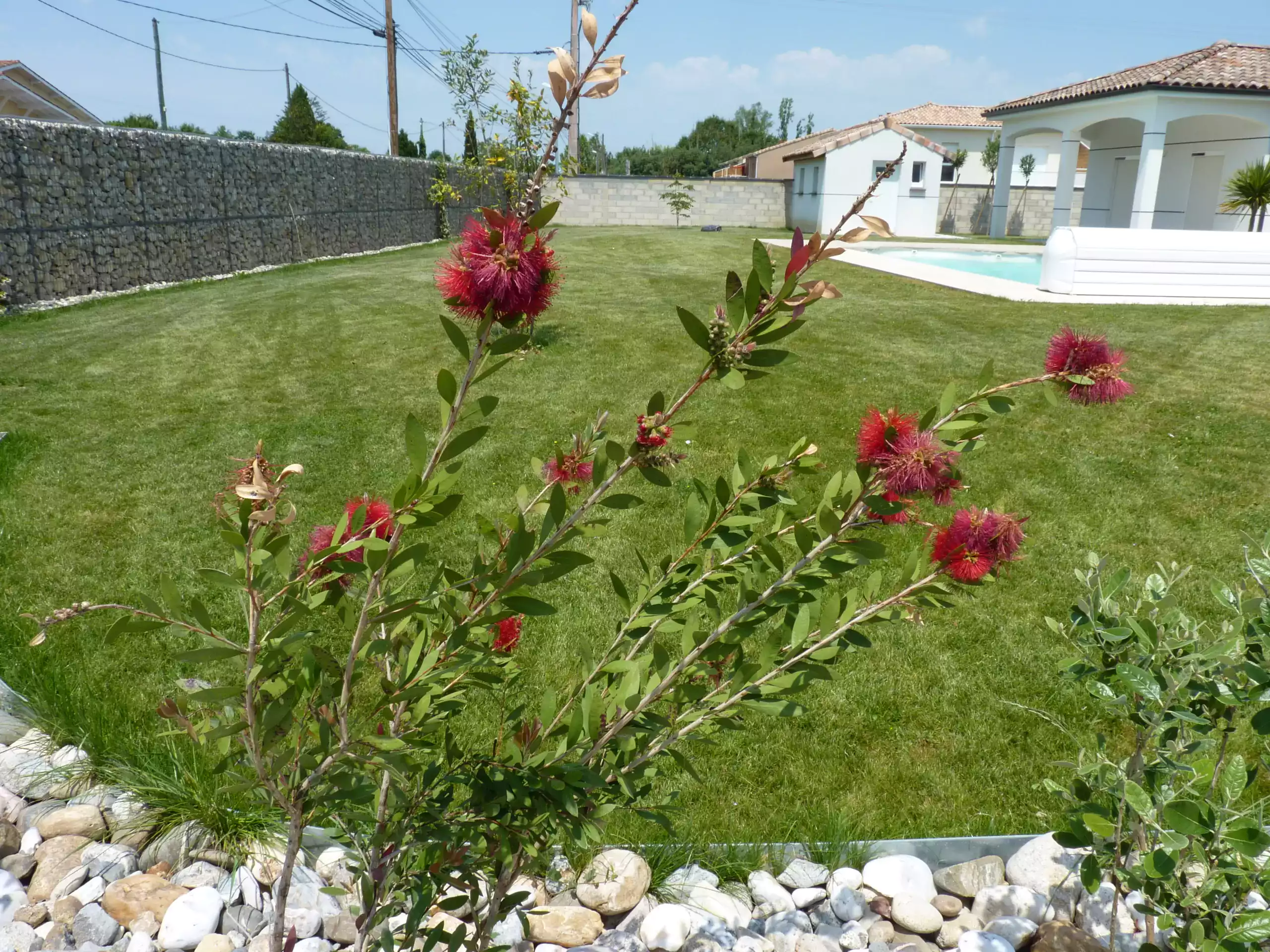 aménagement paysager maison neuve toulouse spironello