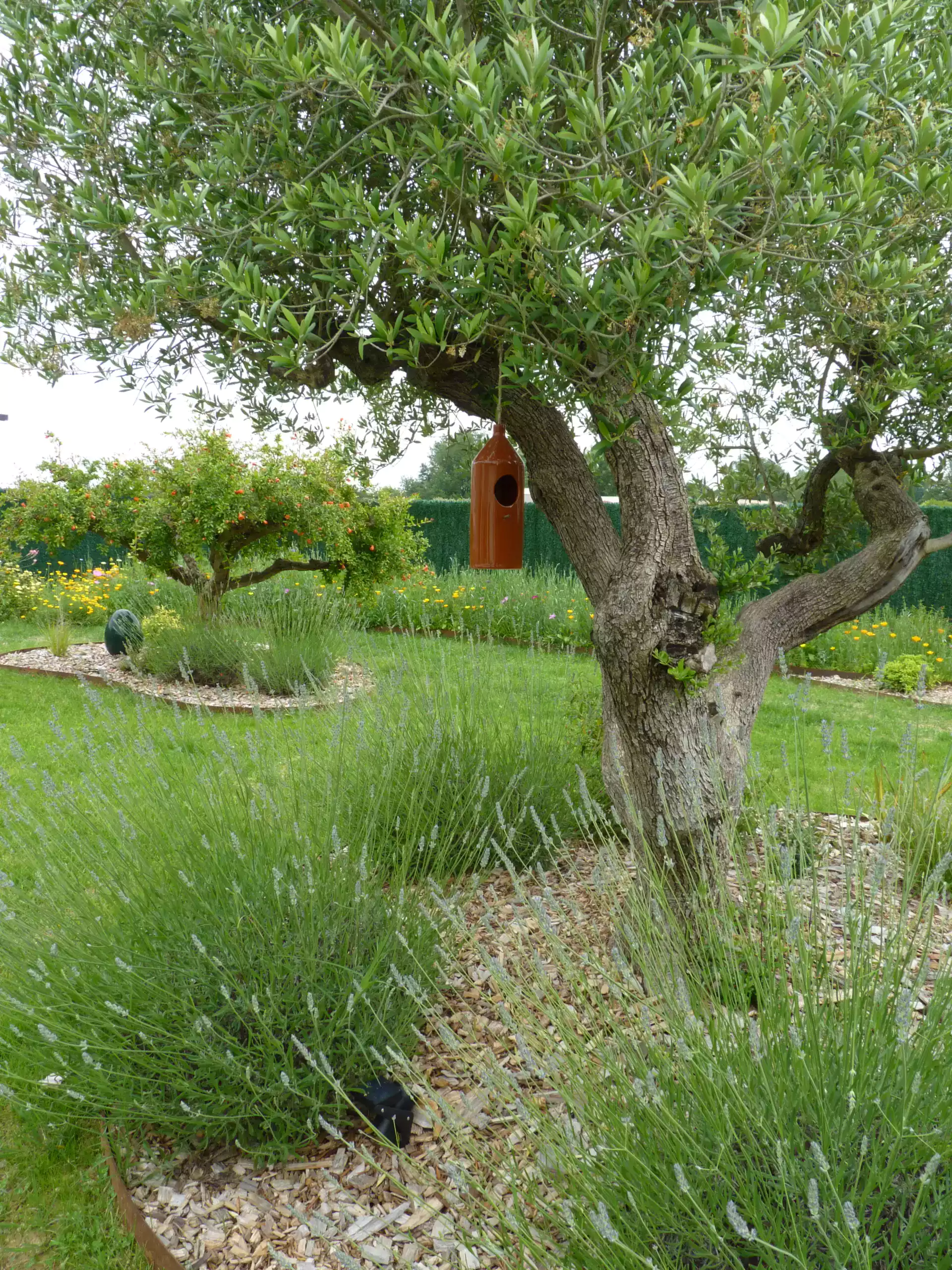 jardin végétal paysagiste spironello