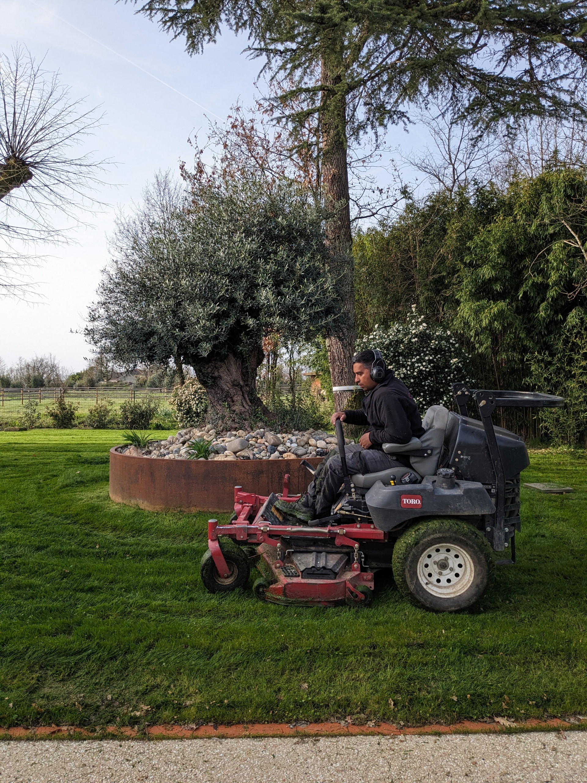 tonte mains de jardin toulouse montauban