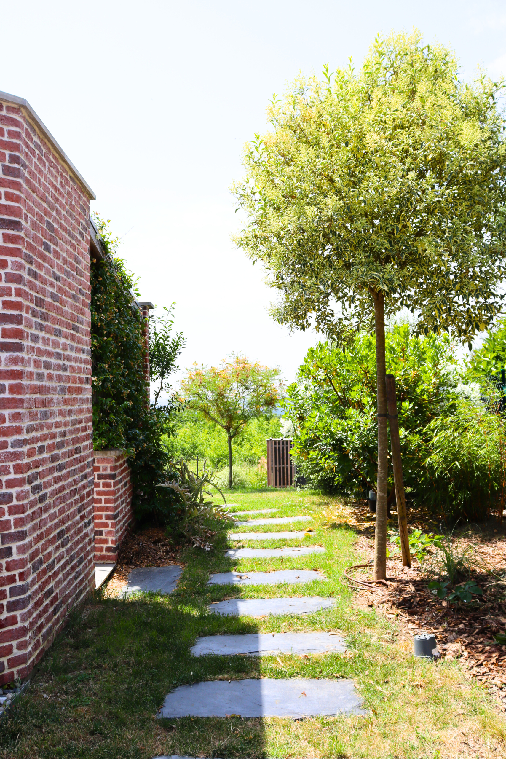 jardin paysagiste aménagement paysager Castelnau d'estretefonds