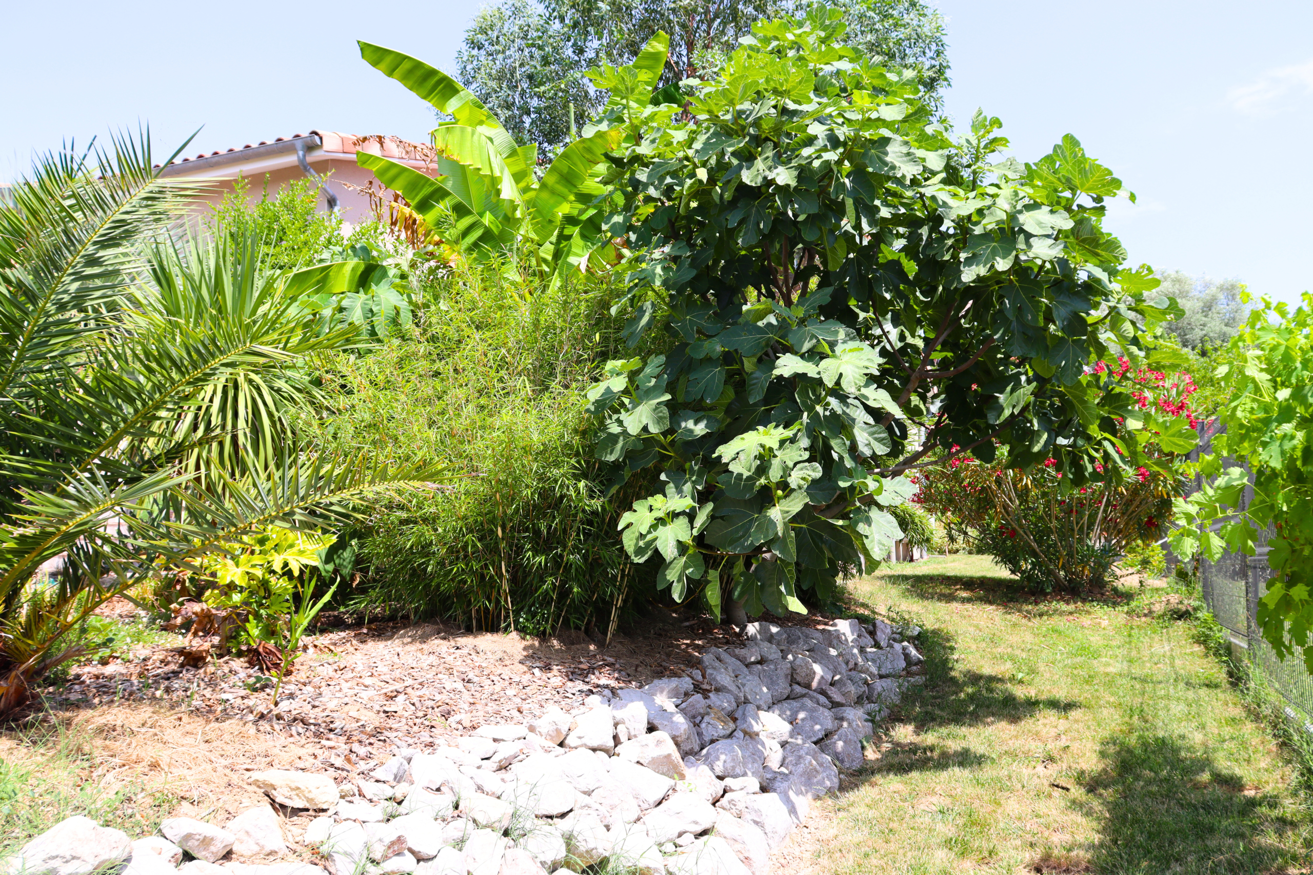 jardin paysagiste aménagement paysager Castelnau d'estretefonds