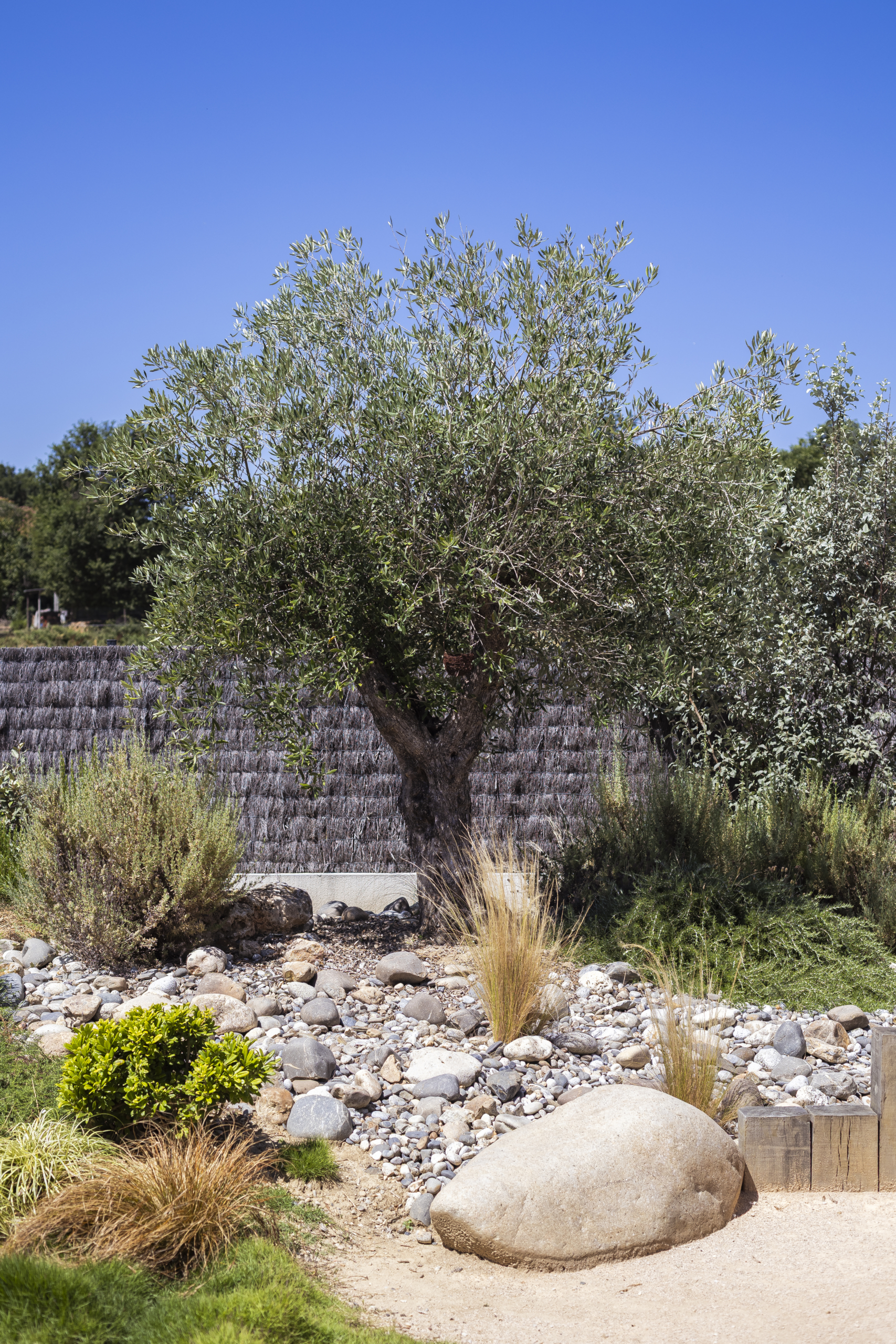 jardin original japonisant riviere sèche paysagiste grenade spironello