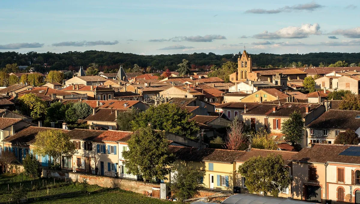 Paysagiste Plaisance du Touch aménagement paysager entretien du jardin Spironello Espaces Verts