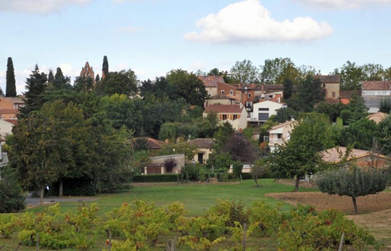 Paysagiste Pechbonnieu Spironello Espaces Verts aménagement extérieur et entretien du jardin