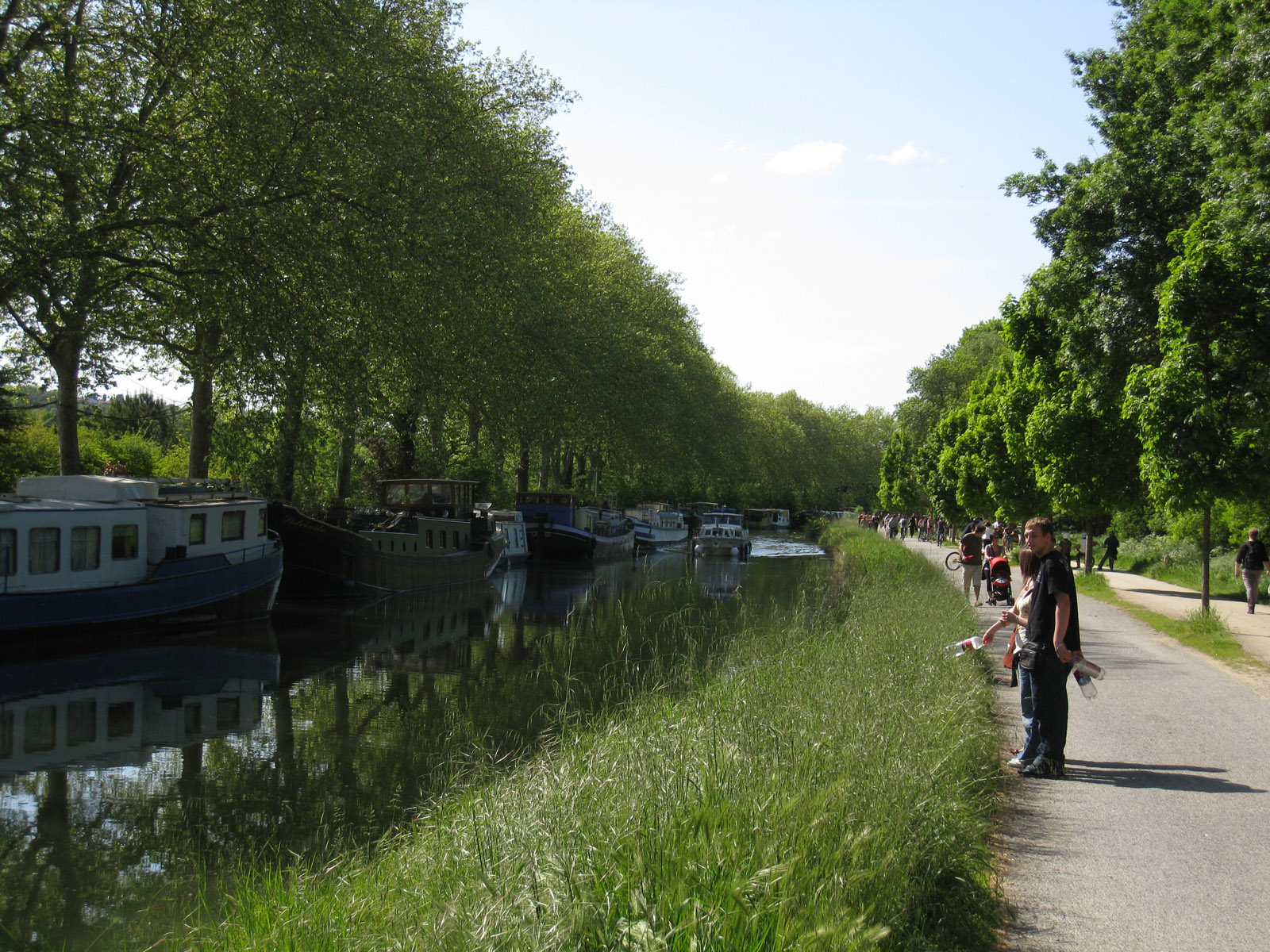 Paysagiste Ramonville Saint Agne Spironello Espaces Verts aménagement paysager et entretien du jardin