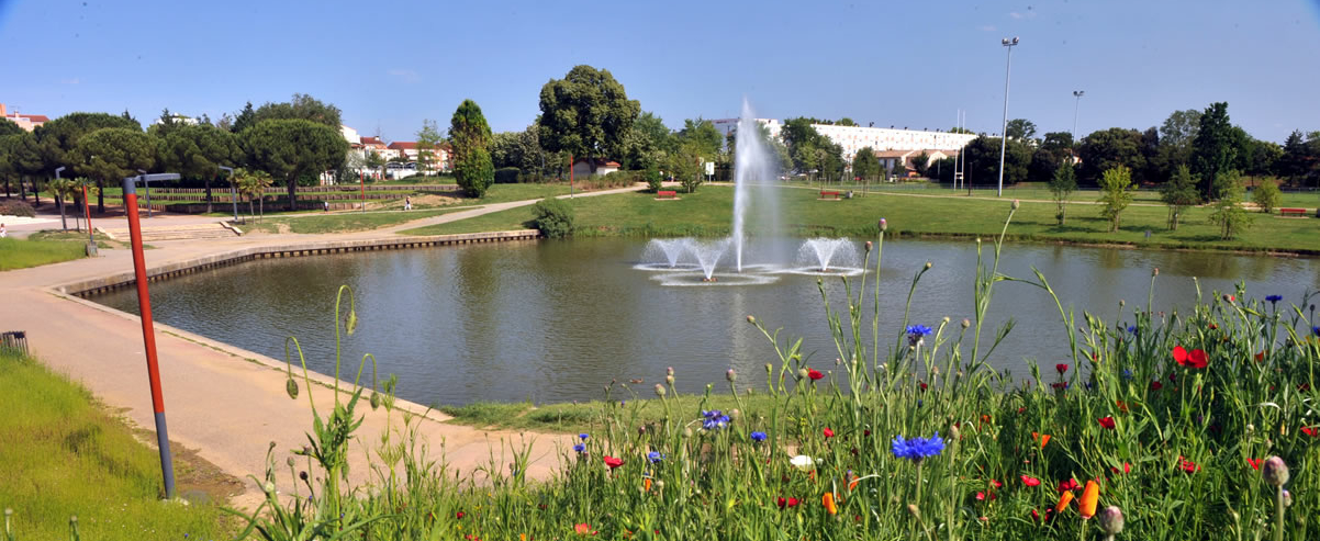 Paysagiste Beauzelle spironello Espaces Verts aménagement paysager et entretien du jardin