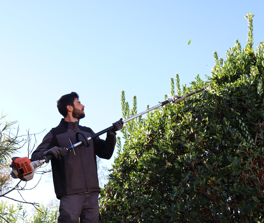 Entretien de jardin Spironello Espaces Verts