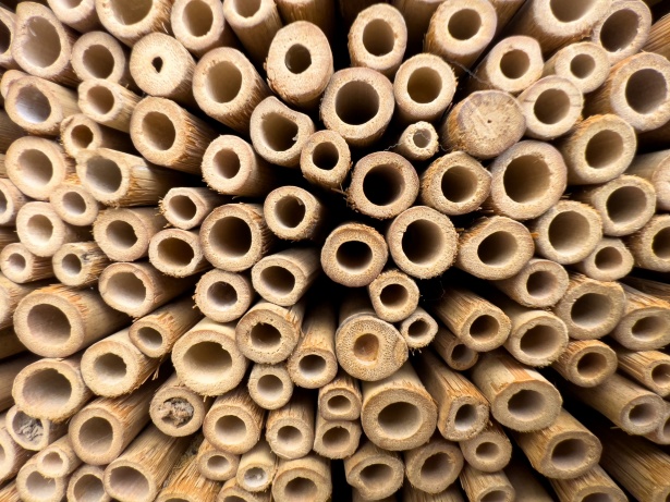 Hotel à insectes Spironello Espaces Verts paysagiste toulouse