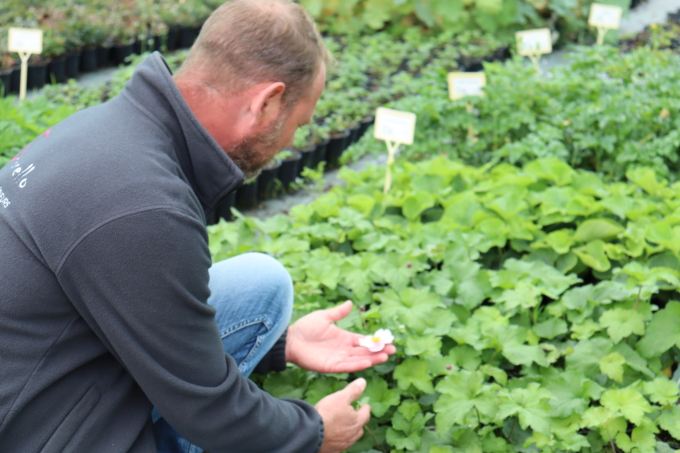 Compositeur végétal Spironello Espaces Verts Compositeur végétal Spironello Espaces Verts