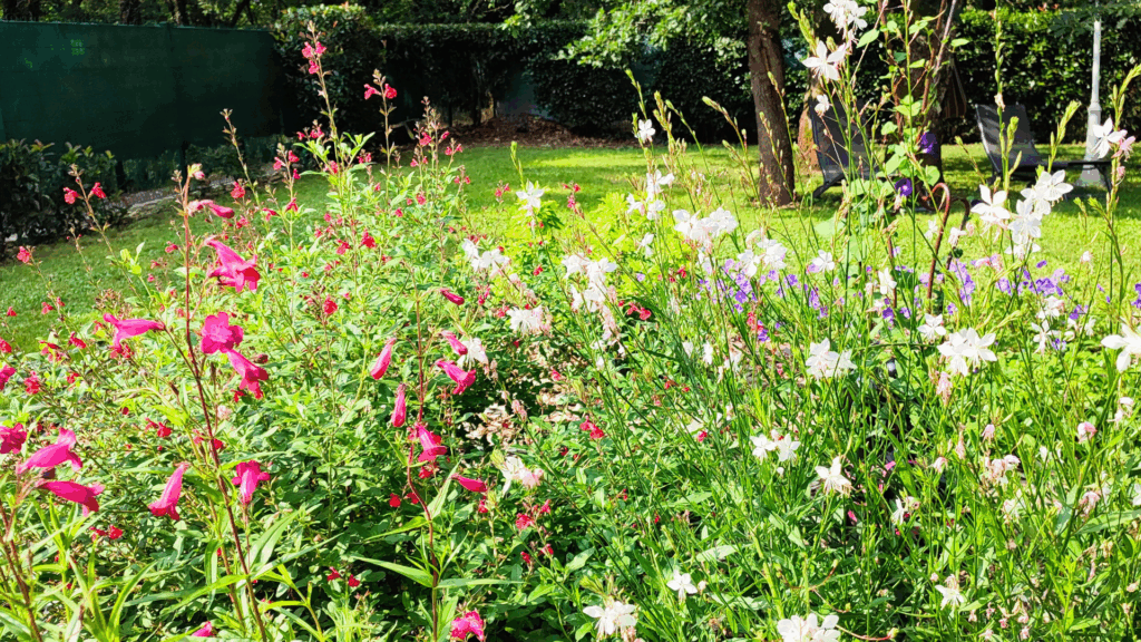 Mon jardin au printemps Mon jardin au printemps