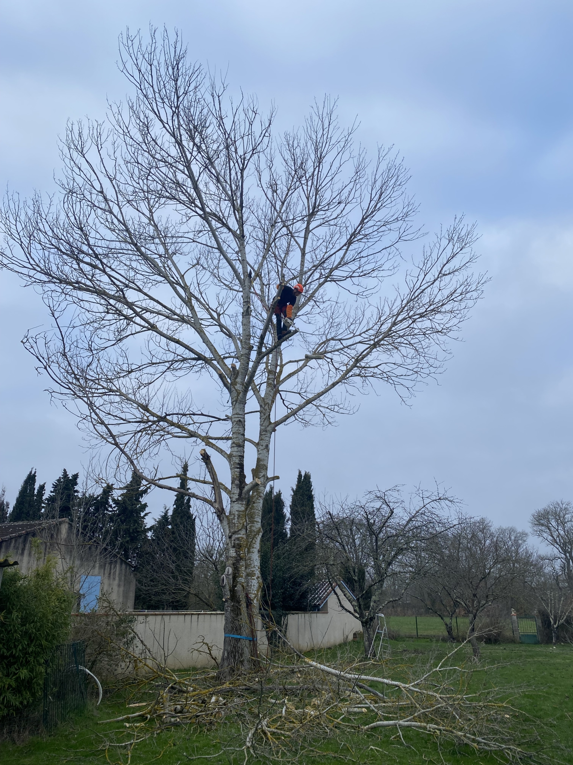 Elagage Spironello Espaces Verts