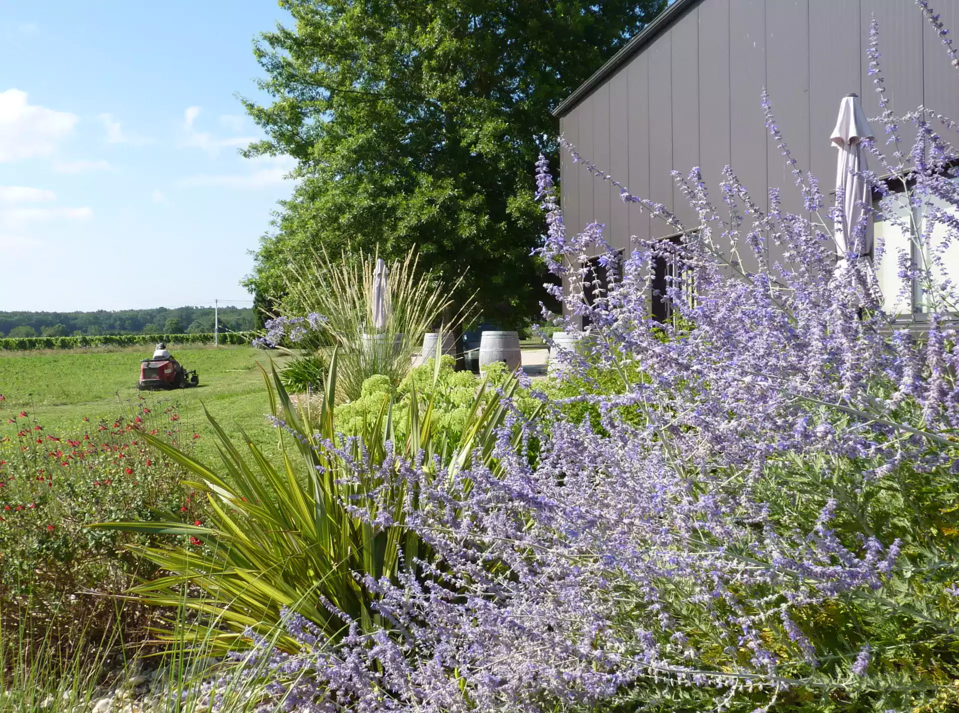 entretien du jardin pour professionnels spironello toulouse et montauban