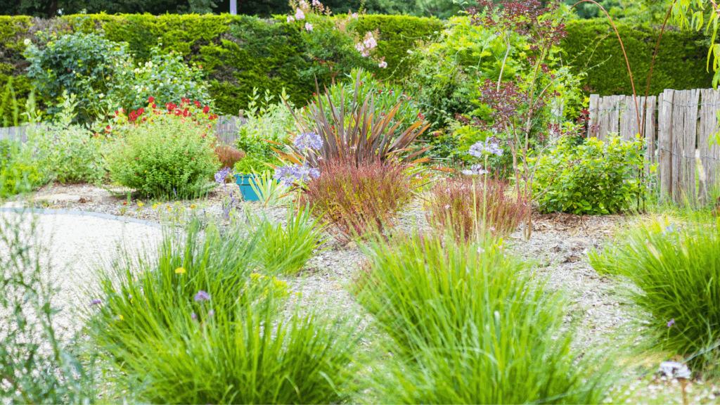 Massif végétal paysagiste spironello toulouse montauban