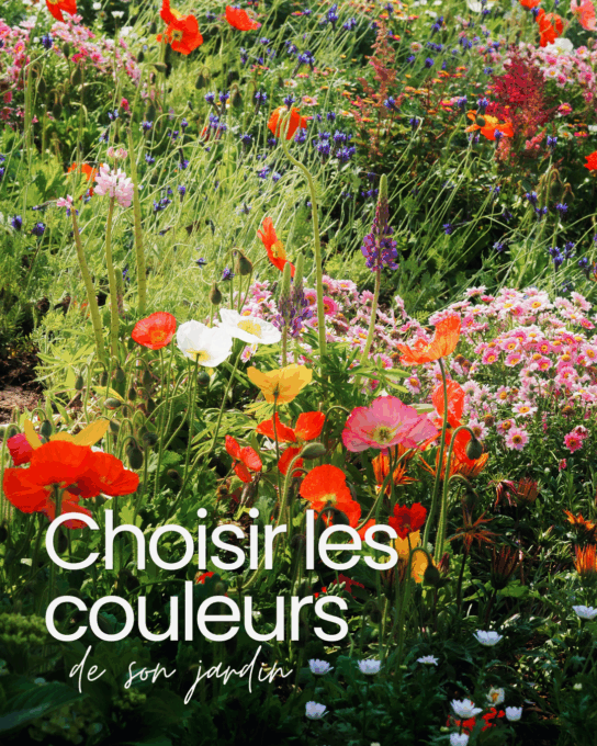 comment choisir les couleurs de son jardin - paysagiste toulouse spironello