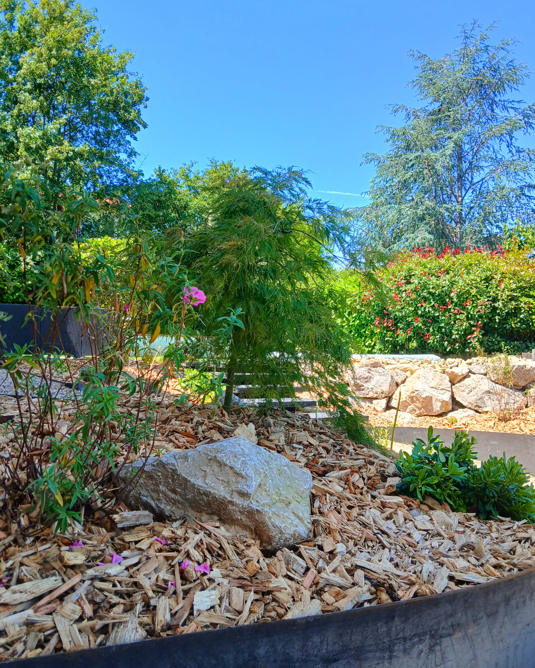 Rénovation du jardin à Toulouse - Paysagiste Spironello