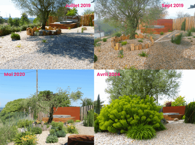 Cycle de 5 ans du jardin - exemple paysagiste Spironello Toulouse 