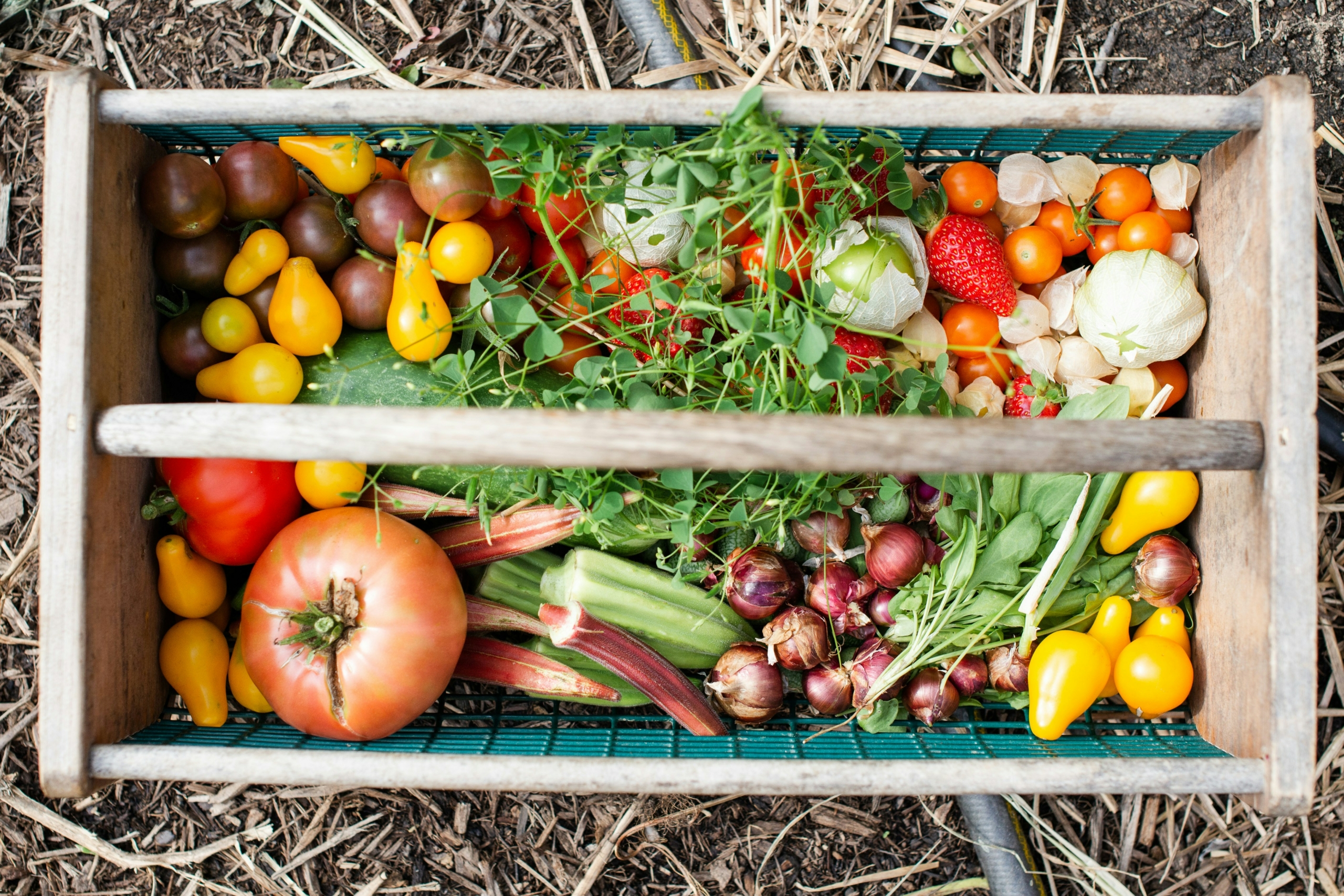 potager productif à Toulouse