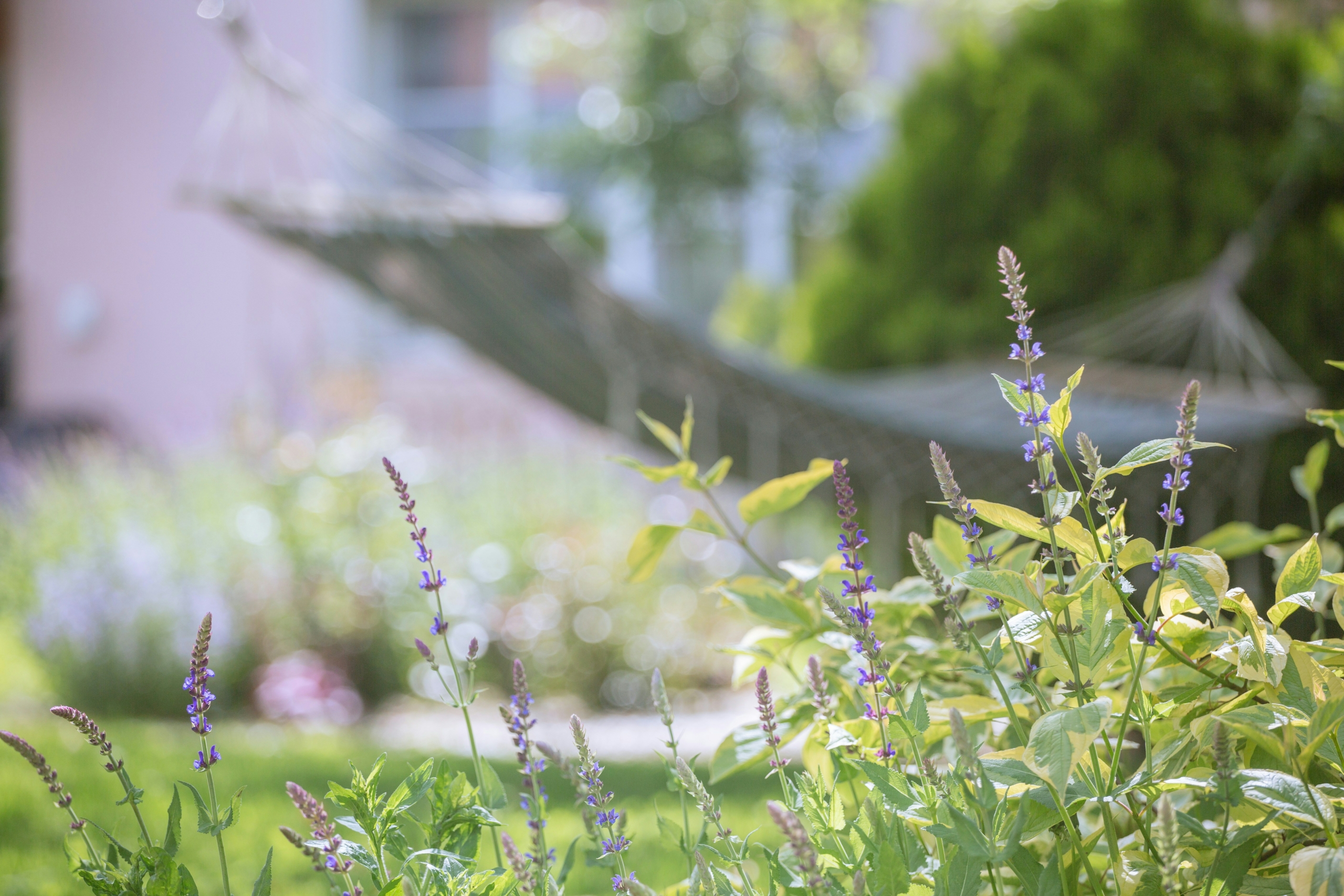 jardin anti stress jardin thérapeutique paysagiste toulouse